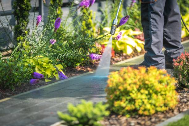 Trusted Dixon, IL Pressure Washing Services Experts